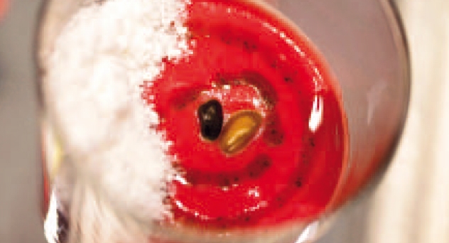 Gazpacho de cereza, queso fresco y anchoa