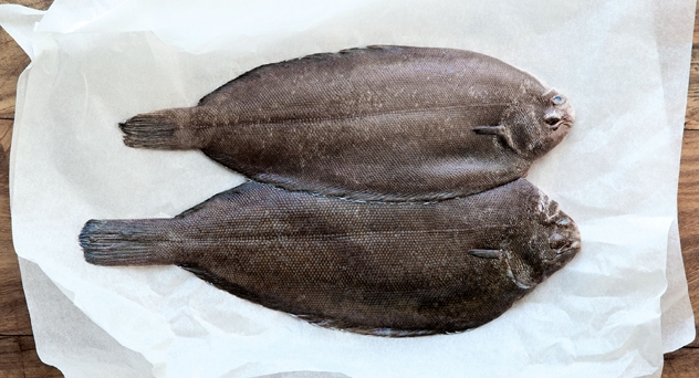 Cebolla