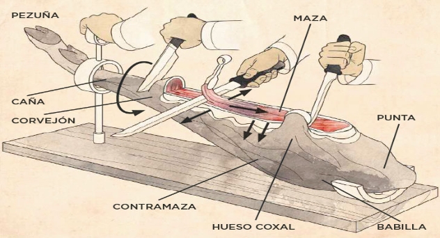 Cómo