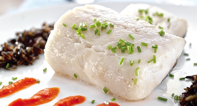 Bacalao