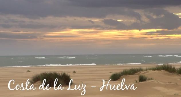 Gamba blanca, el tesoro del mar de Huelva