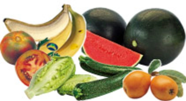 Frutas y verduras de julio 2015