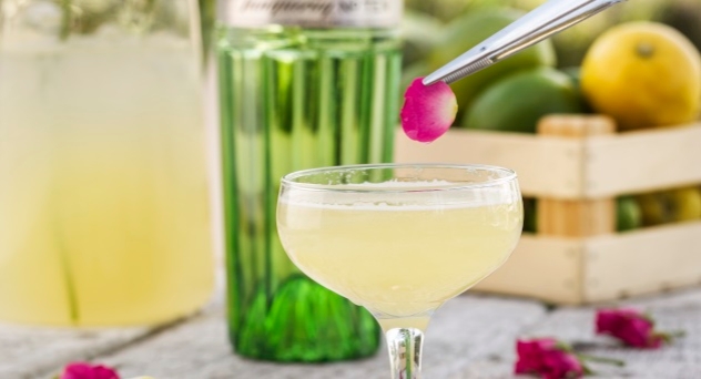 Coctel Frangance Martini