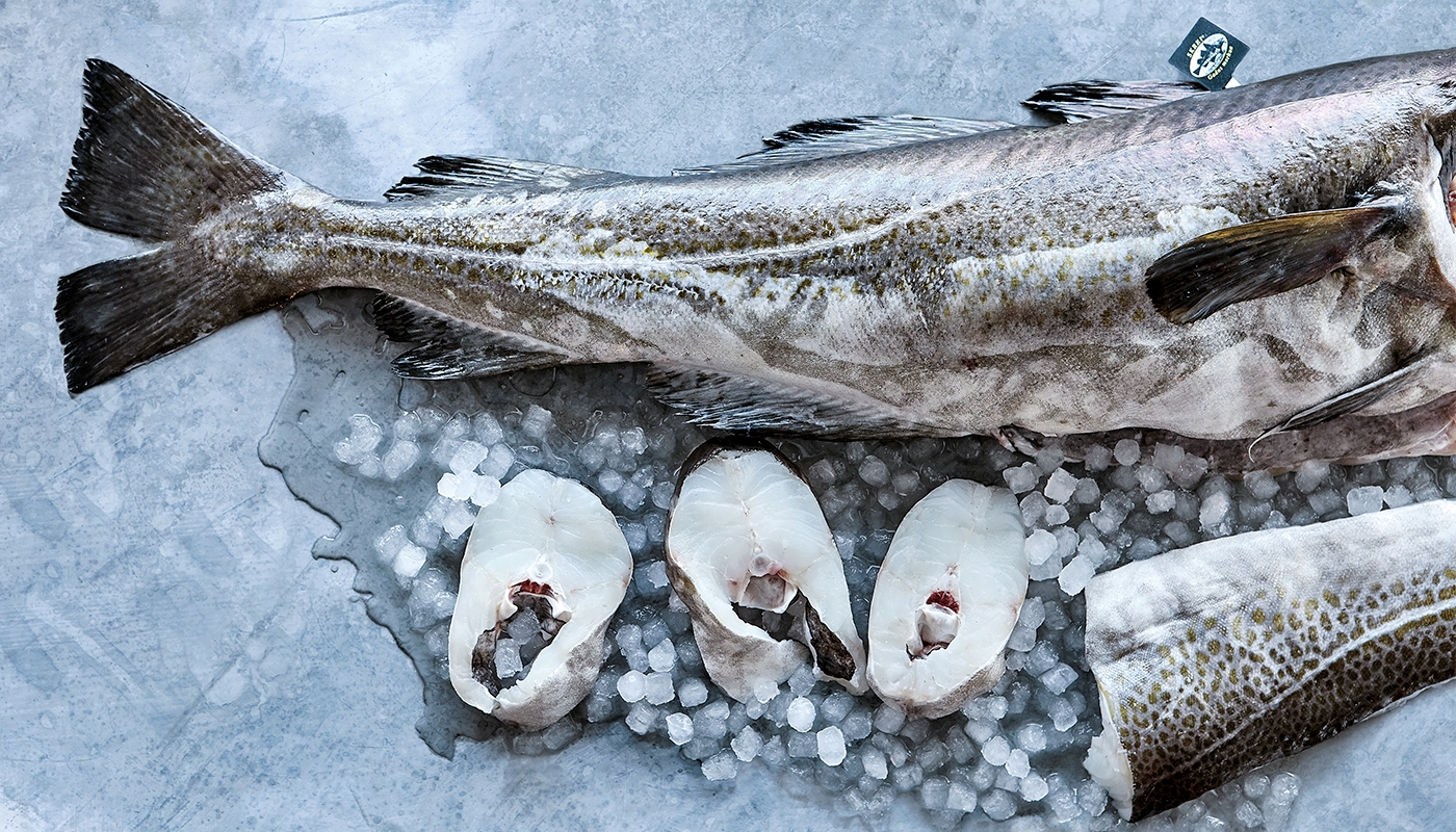 Bacalao