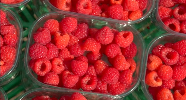 Frutos rojos