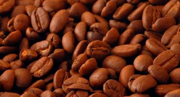 Café: ¿en grano, molido, monodosis o soluble?