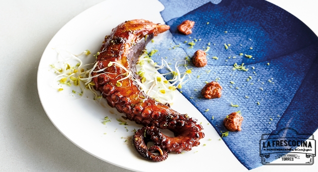 Pulpo
