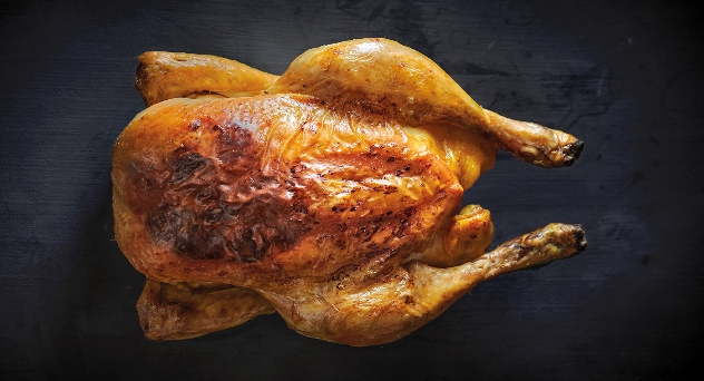 Pollo