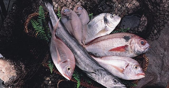 Pescado